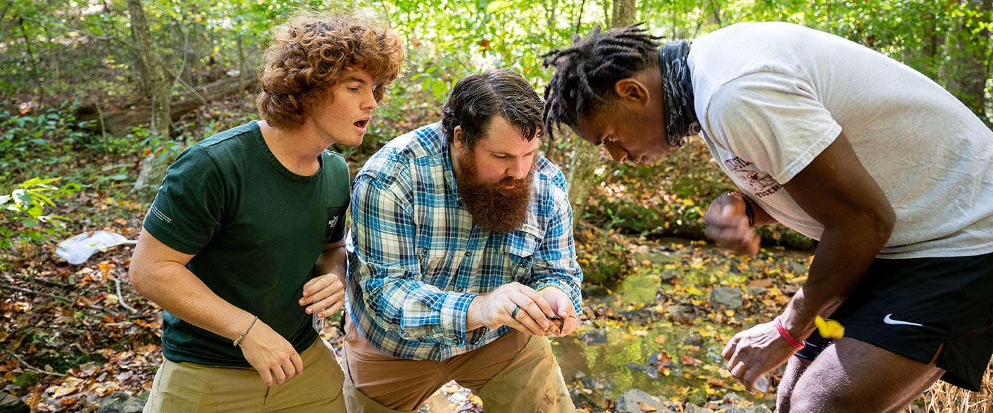 Biology students and professor exploring creek ecology on Wilson Trail