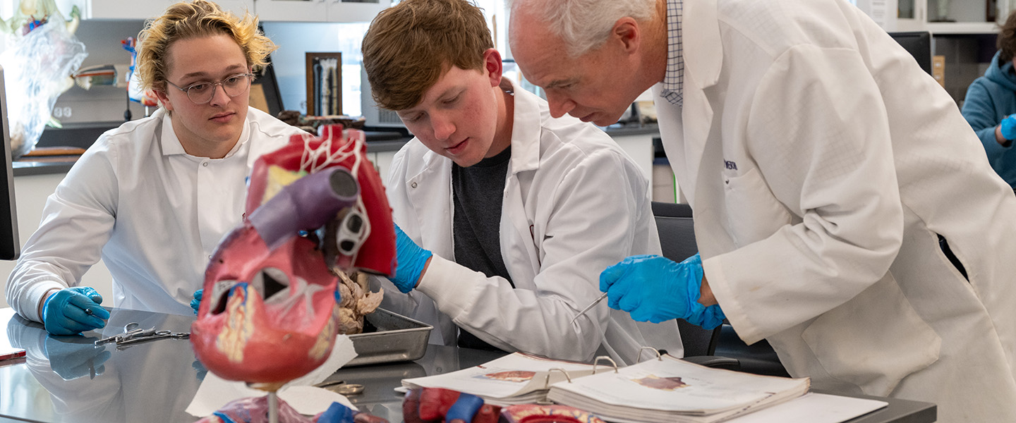Biology students and professor in laboratory class dissecting a heart