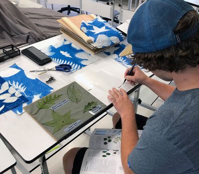 Student working on herbarium images
