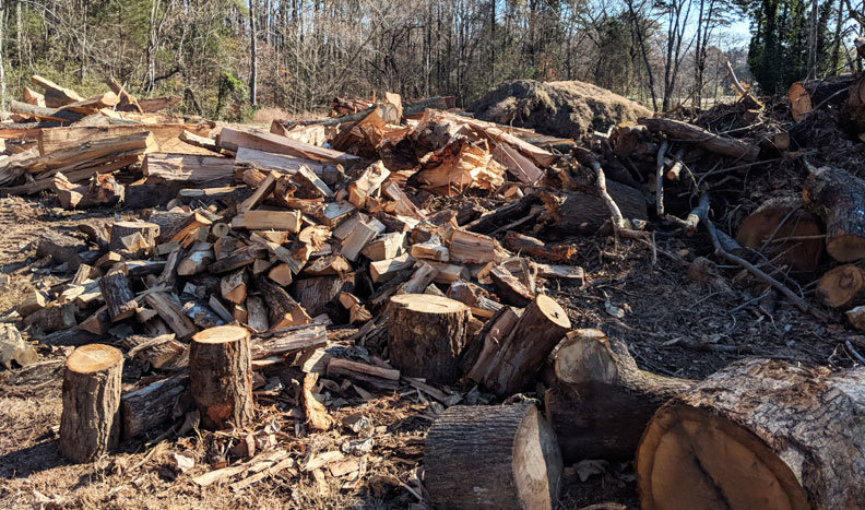 pile of wood and chopped firewood