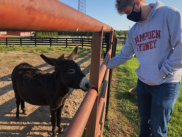 Hampden-sydney student volunteer petting a donkey