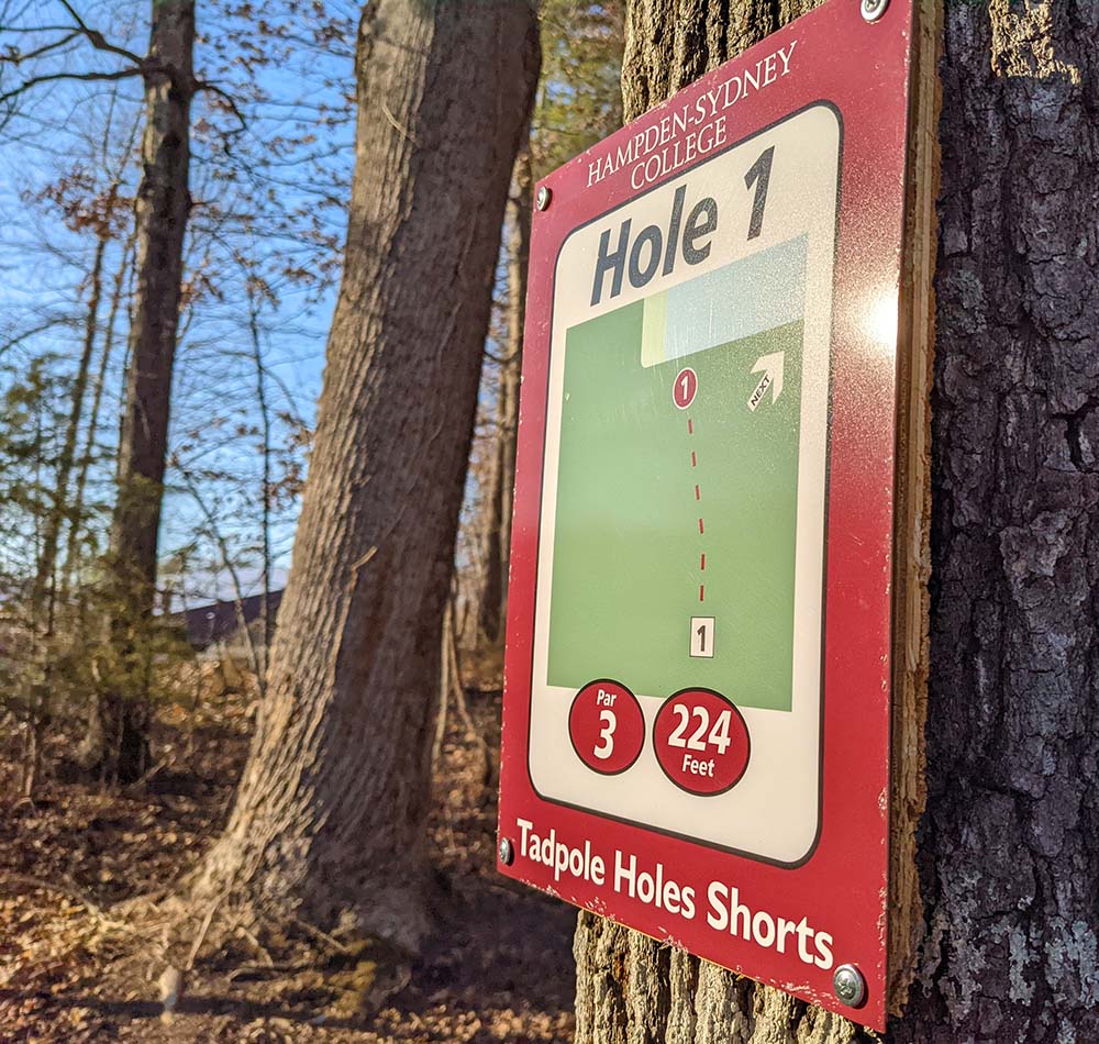 Disc Golf "Hole 1" sign mounted on a tree