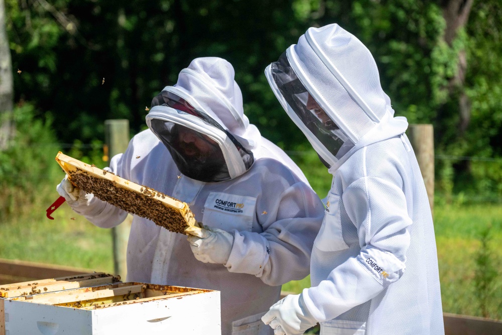 Men in bee suits examining a bee hive