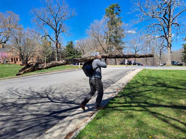 Kent Bero carrying a large log over his shoulder