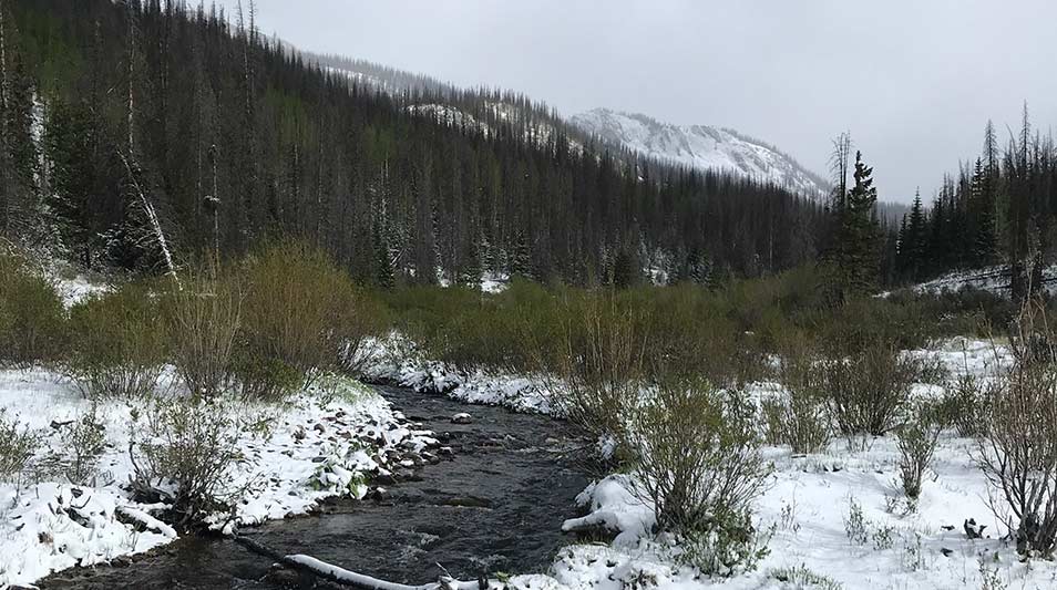 West Willow Creek Creede, CO