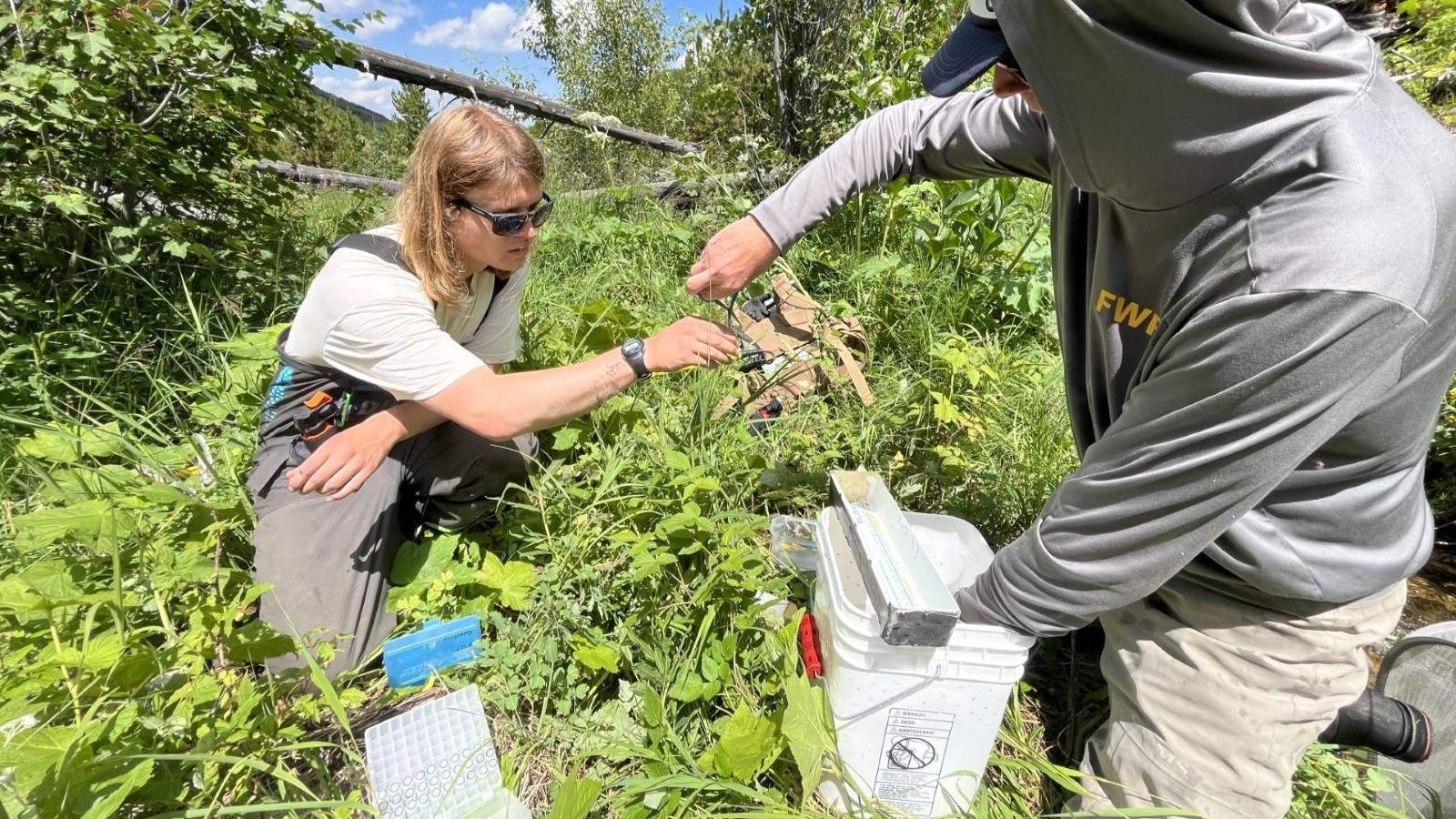 Student Bowen Charlebois standing in a wetland examining and sampling a fish