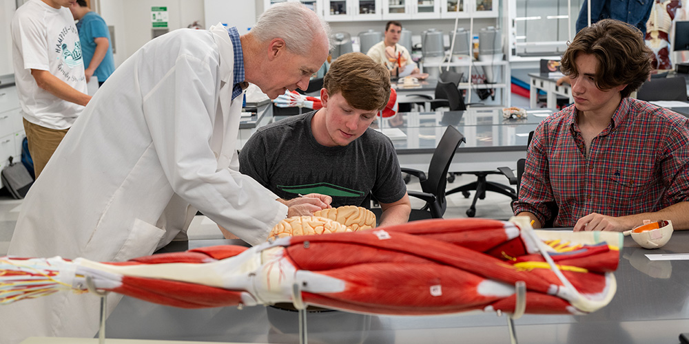 a professor with his students studying anatomy in the laboratory