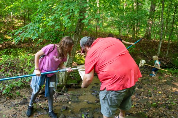 Professor and student in a creek looking into their nets