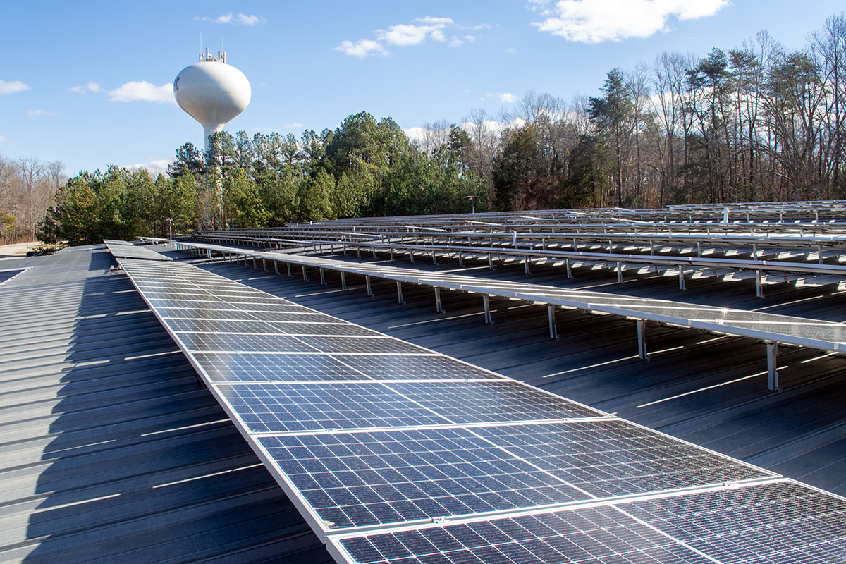 rows of solar panels