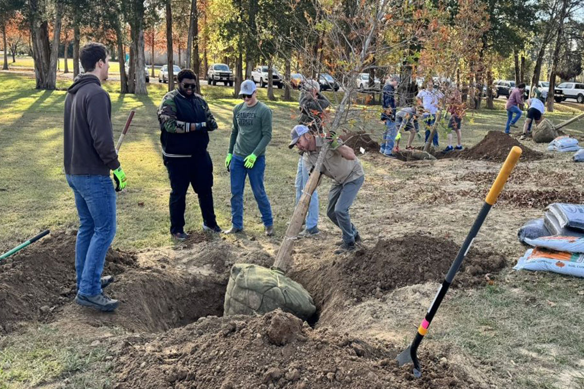 students planting trees
