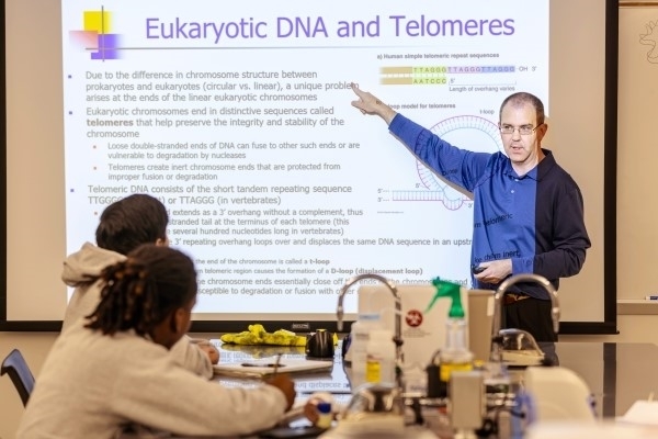 Dr. Hargadon lecturing in front of a whiteboard