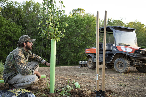 Haynes Shelton observing a tree sapling stand