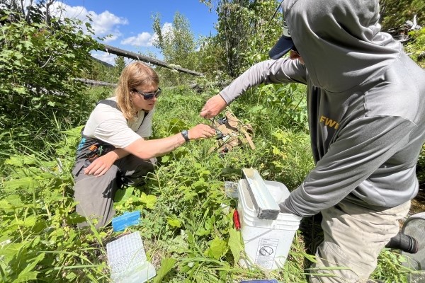 Bowen Charlebois '26 working in a field of grass