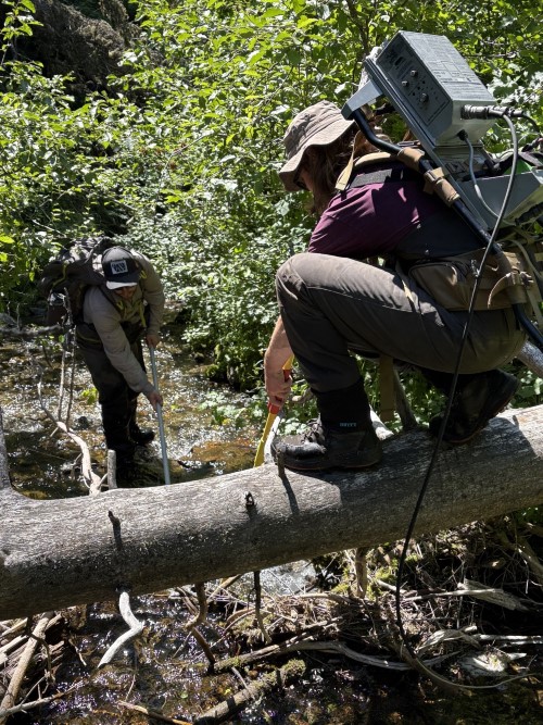 Bowen Charlebois '26 doing research in a creekbed