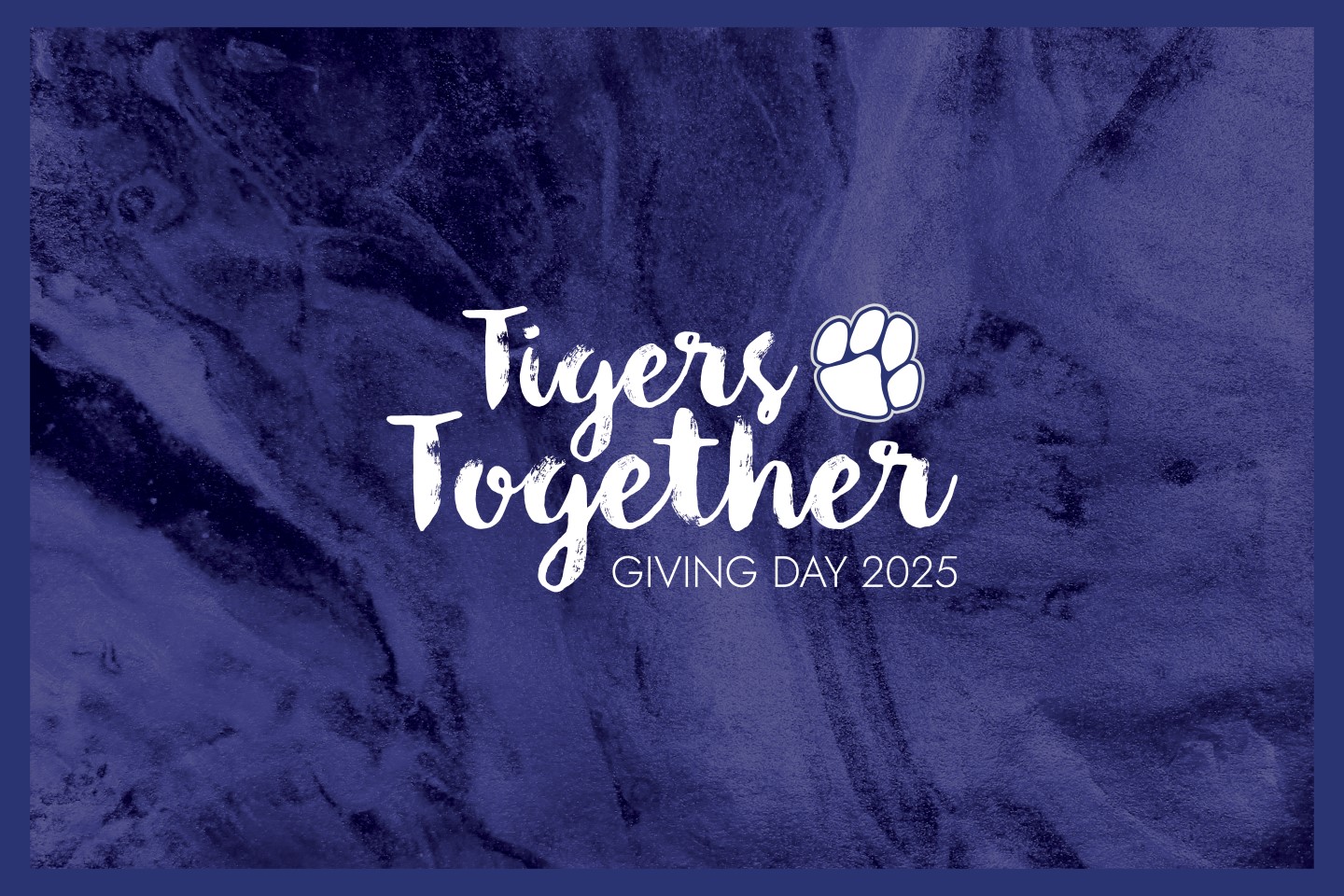 Tigers Together