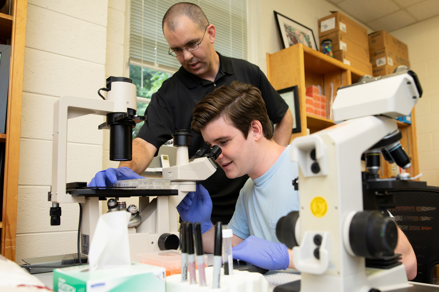 Hargadon and student working with a micrososcope