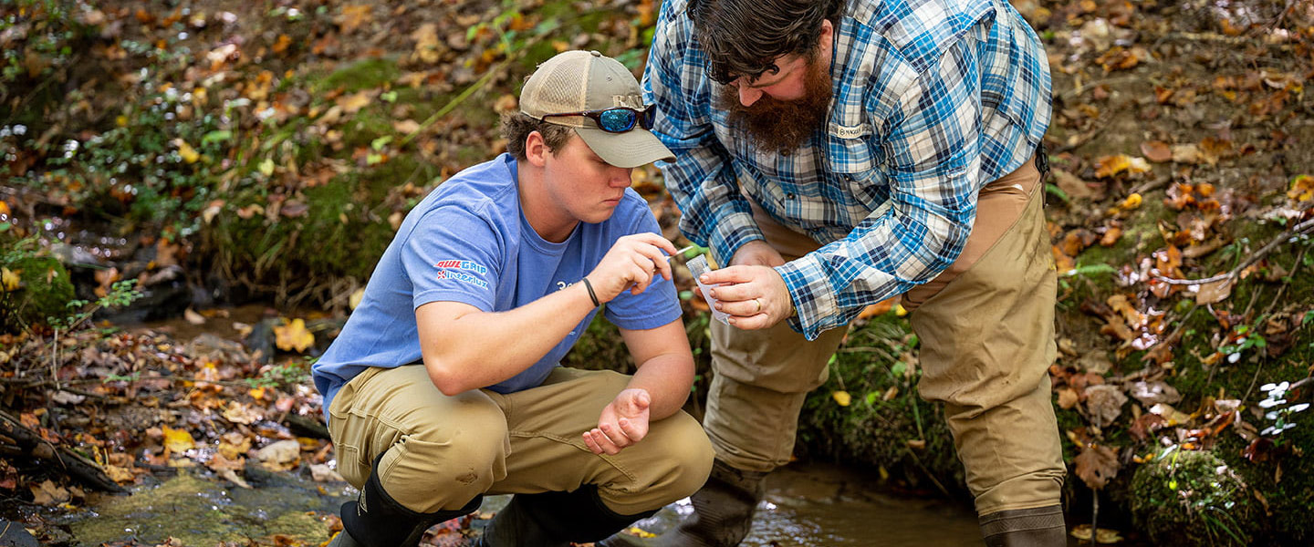 Biology Professor and student examining specimens in a creek