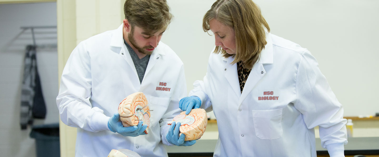 Dr. Kristin Fischer with student examining the brain