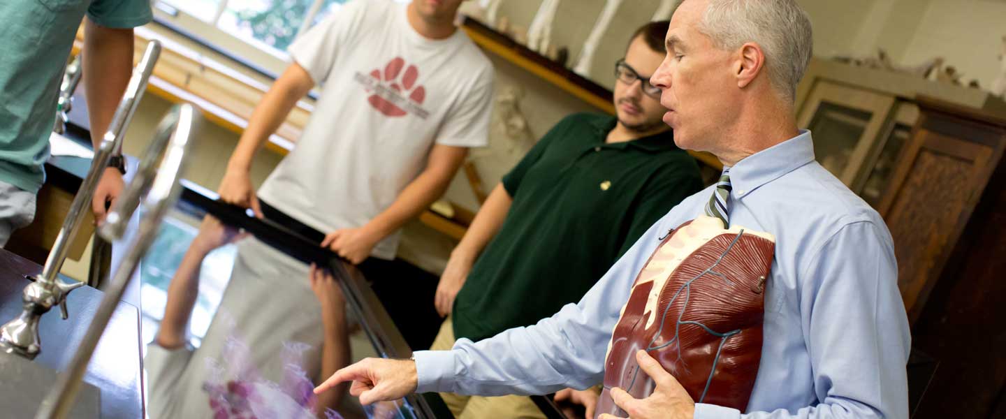 Dr. Werth explains to a biology student anatomy at the anamotage  table