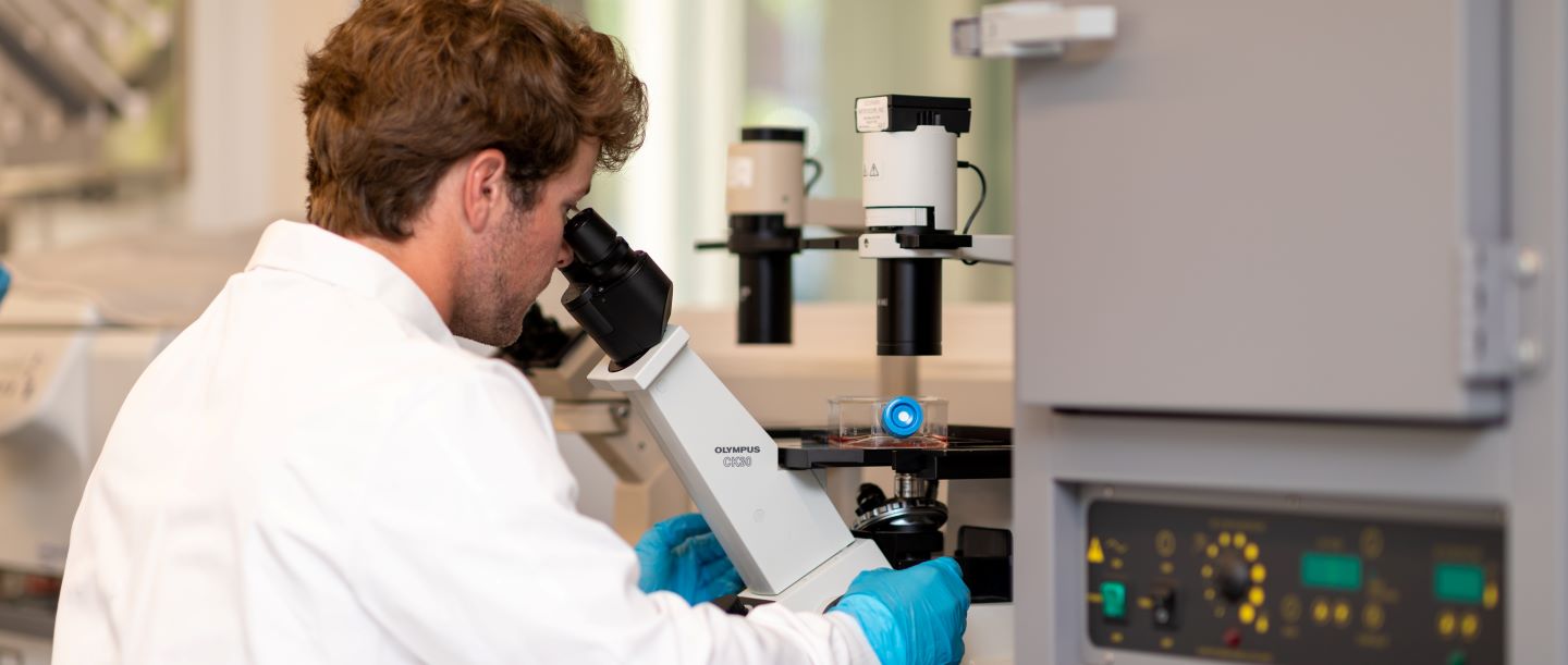 Student looking in a microscope in a lab at Hampden-Sydney.