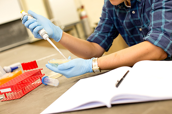 Close-up laboratory photo of gloved hands doing labwork