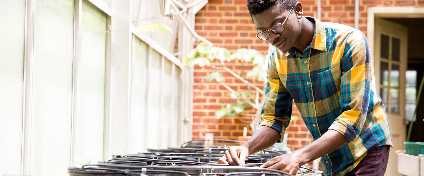 A student in a greenhouse lab at Hampden-Sydney.