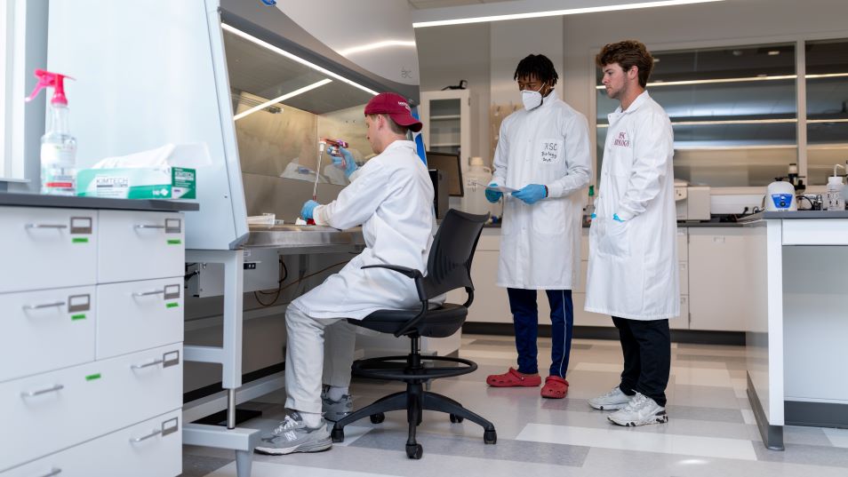 Students in a laboratory in the Pauley Science Center at Hampden-Sydney College