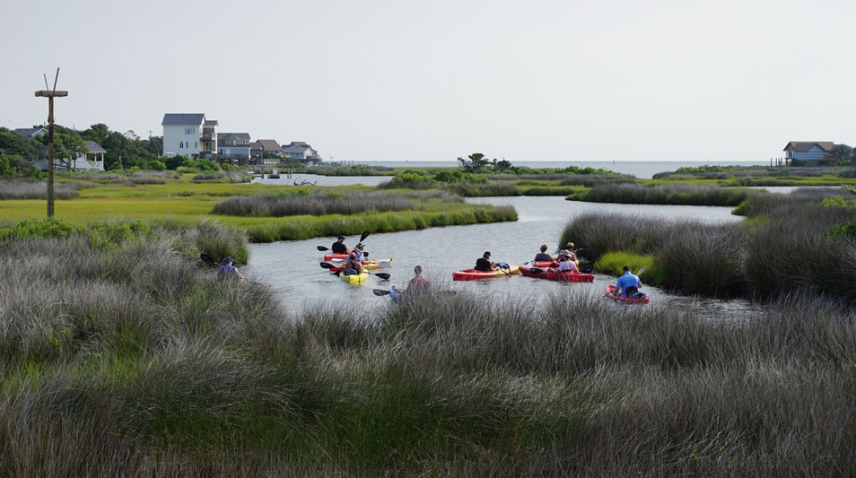 Students on kayaks in the marsh