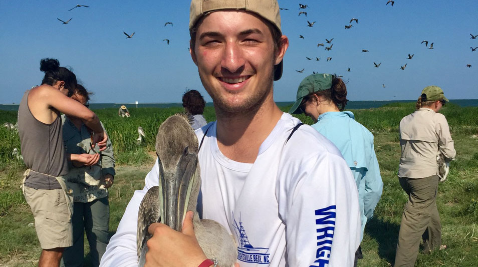 Interns holding a pelican on the beach at Hatteras Island 