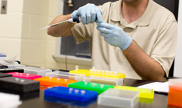 Gloved hands piping liquid into a vial in the research lab