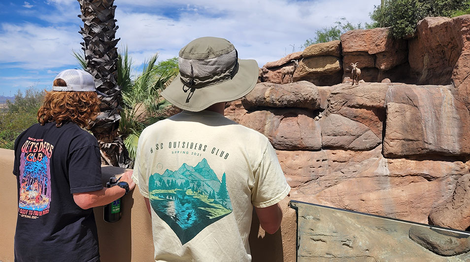 Hampden-Sydney students watching mule deer on a cliff in the Gila Wilderness