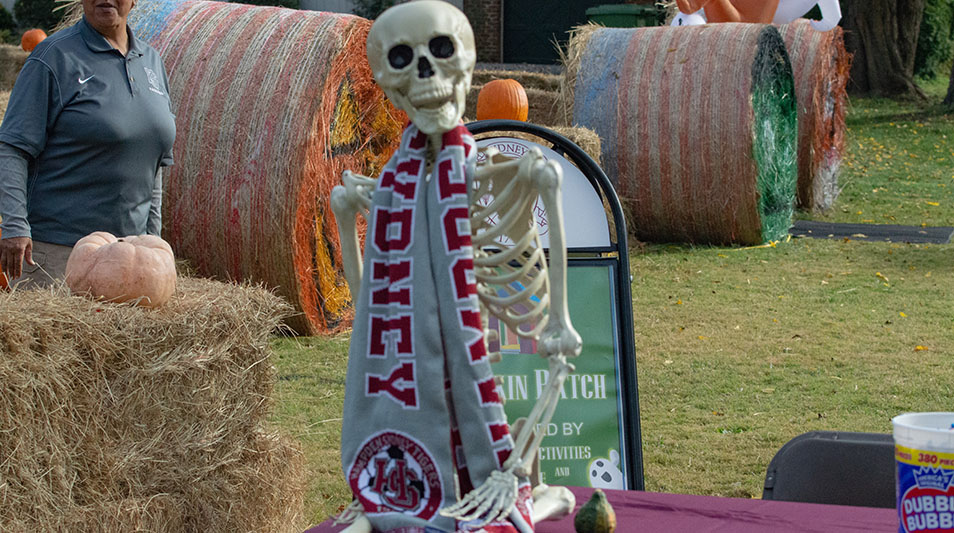 Halloween skeleton sitting on a haybail