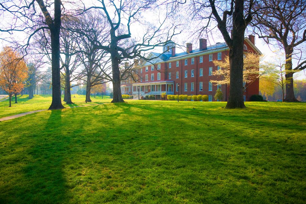 Venable Hall through the trees and sunlight