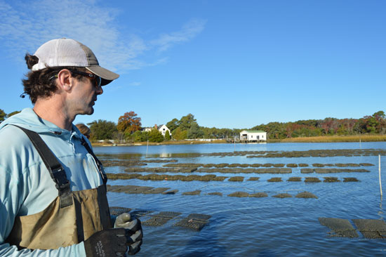 Chris Buck oysterman overlooking the water