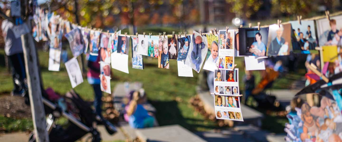 Clothesline filled with photos of babies that Dr. Edward T. Wolanski delivered