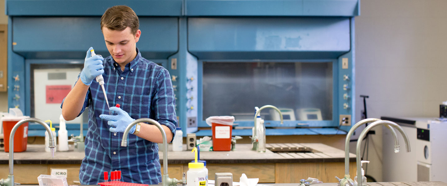 David Bushhouse '19 working in the biology laboratory at Hampden-Sydney College