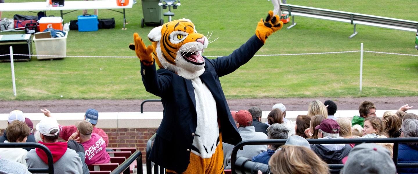 Yank the Tiger amping up the crowd at a football game