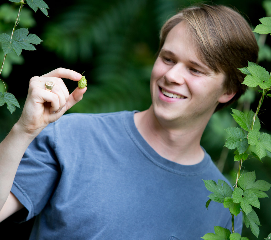 Sean Walden '18 inspects hops plants