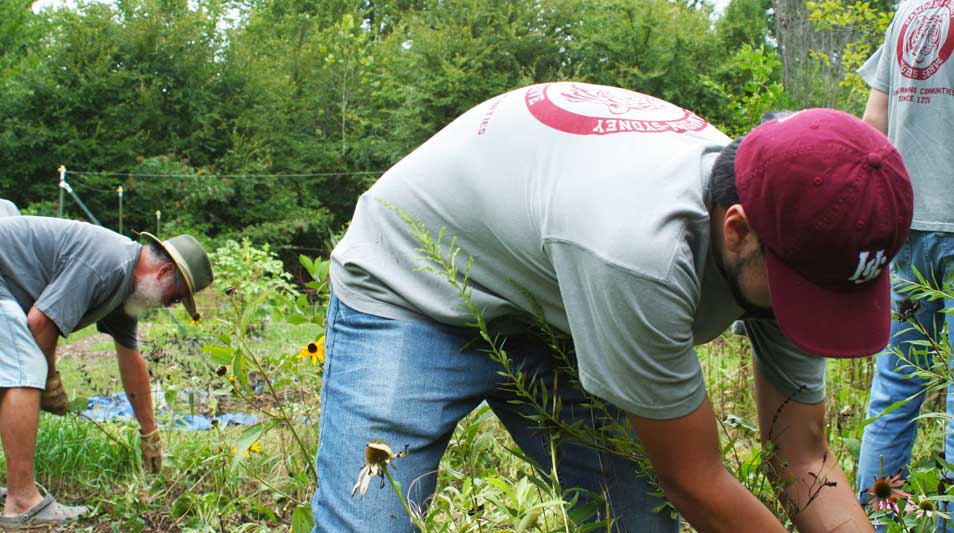 Students doing trail clean-up at Hampden-Sydney College "Tigers Serve" Orientation event