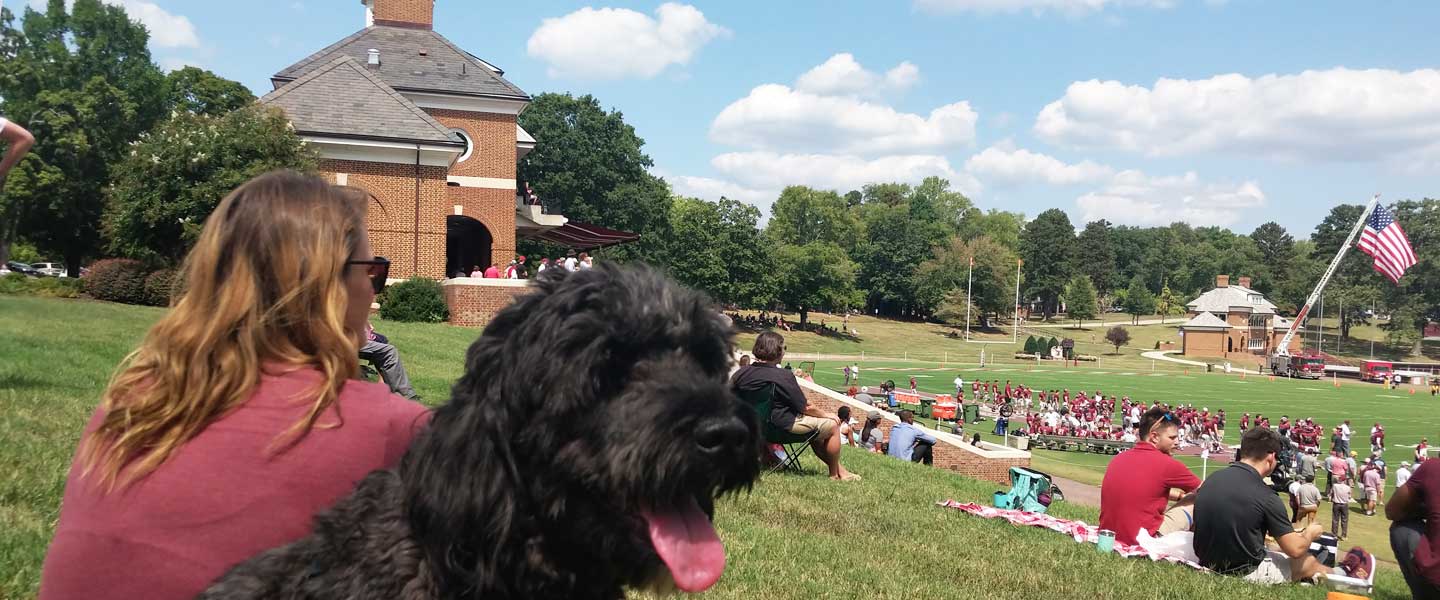 Crowd and dog at a Hampden-Sydney College football game